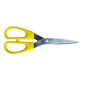 Scissors 1